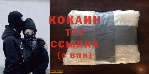 индика Бугульма